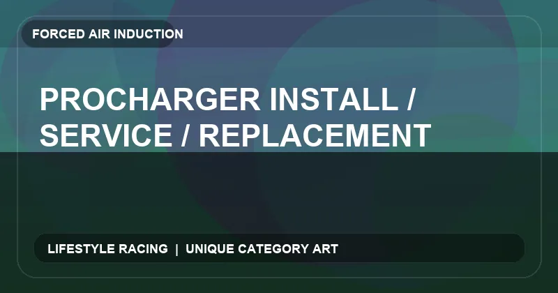 ProCharger Install / Service / Replacement